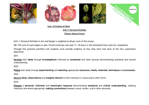 Scheme of Work, SOW year 10, Natural Forms