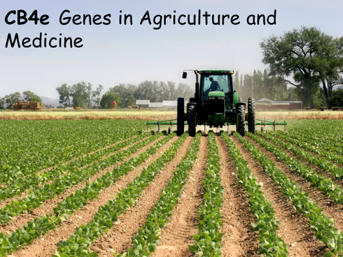 Edexcel CB4e Genes In Agriculture and Medicine