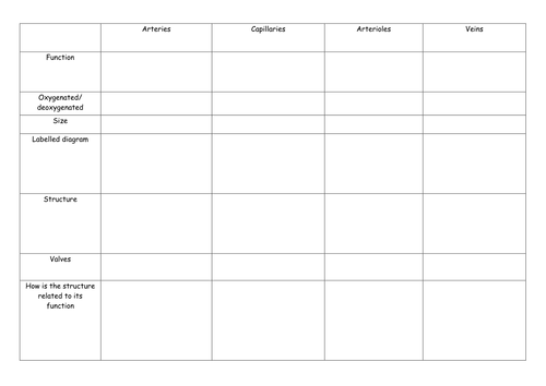 Blood vessels summary table