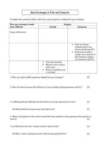 Gas exchange in insect and fish