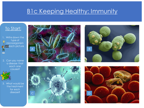 Immunity and Pathogens revision lesson