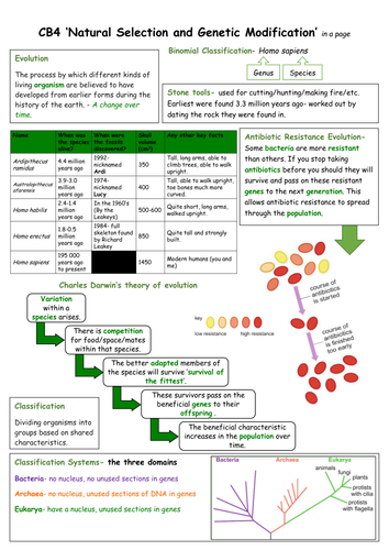 Edexcel CB4 in a Page