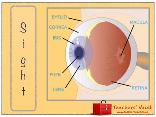 Sight topic sign
