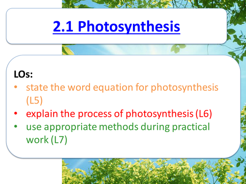 KS3 Photosynthesis - testing a leaf for starch