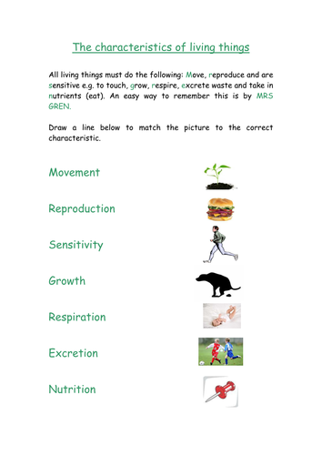 30-characteristics-of-living-things-worksheet-answers-key-support-worksheet