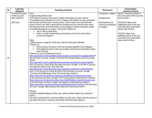 Parts of the Eye  KS2 Lesson Plan, Worksheet and Plenary Quiz