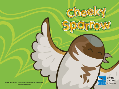Cheeky Sparrow; Story to help young children identify birds