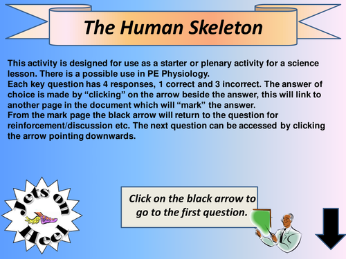 The Human Skeleton