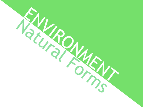 Part of the GCSE year 10 SOW Natural Forms: A series of lessons exploring mixed media.