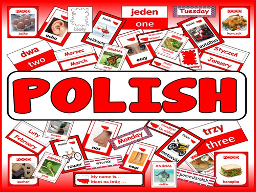 POLISH LANGUAGE TEACHING RESOURCES display posters flashcards colours food