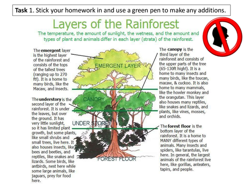 Tropical Rainforests - AQA2016 Living World