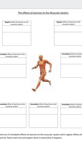 GCSE PE AQA New 2016 muscular & skeletal system