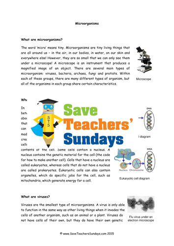 Bacteria and Viruses KS2 Lesson Plan, Information Text and Worksheet