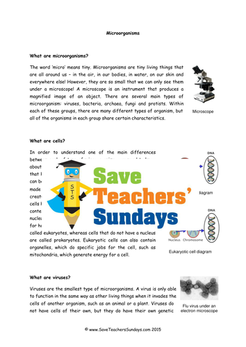 Fungi and Protists Carroll Diagram KS2 Lesson Plan, Information Text and Worksheet