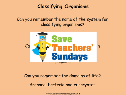 Comparing Groups of Plants KS2 Lesson Plan, Activity and Worksheet