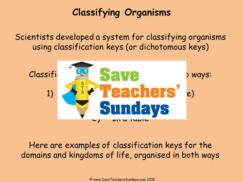 Classification keys KS2 Lesson Plan, PowerPoint and Worksheet
