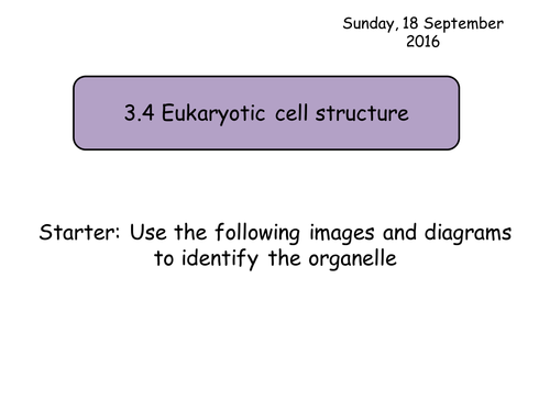 Section 2. Cells. 3.4 Eukaryotic cells Year 12 Biology