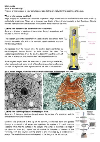 A level biology revision: microscopy