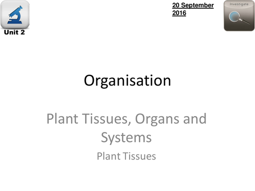 AQA Biology 4.2 - L12 Plant Tissues