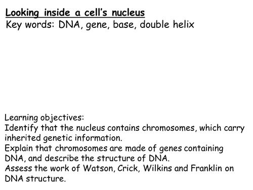 Looking inside a nucleus- NEW KS3  and KS4 CURRICULUM
