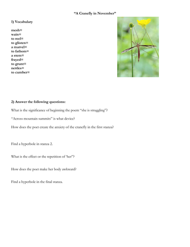 "A Cranefly in September" by Ted Hughes Worksheet