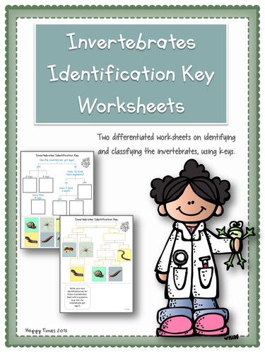 Invertebrate Animals Classification Identification Key Worksheets
