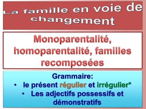 Famille: Monoparentalité, familles recomposées, homoparentalité (French / AS / New)