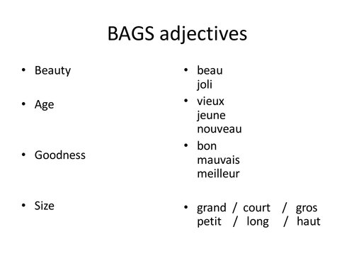 BAGS adjectives puzzle