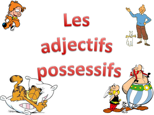 Adjectifs possessifs / Possessive adjectives / French / Français /Grammar/ GCSE