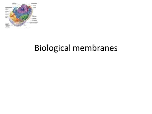 New OCR spec AS level Biological Membranes
