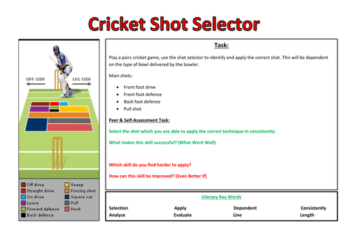 Cricket Shot Selector and Assessment