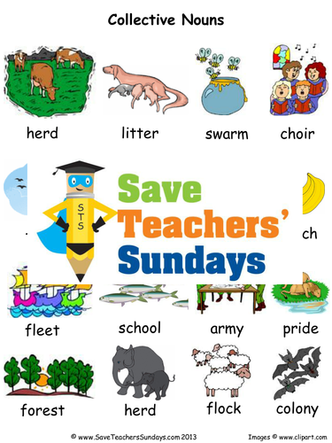 Collective Nouns Lesson Plan, Worksheets and Plenary Activity