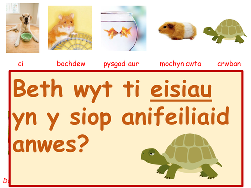 Beth wyt ti eisiau yn y siop anifieliaid anwes? - What do you want in the pet shop?