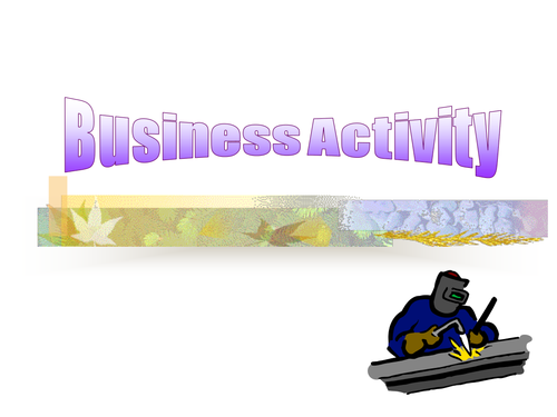 GCSE Business - Business Activity