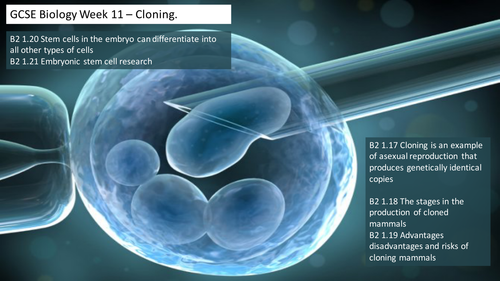 GCSE Cloning | Teaching Resources