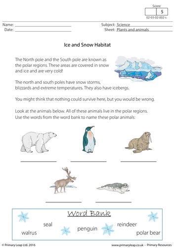 snow animals with names