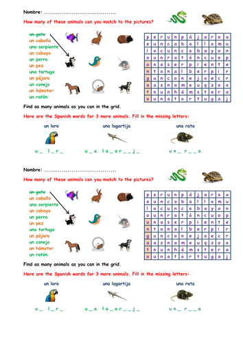 KS3 Spanish starter - pets