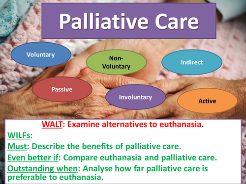 Palliative care as an alternative to euthanasia