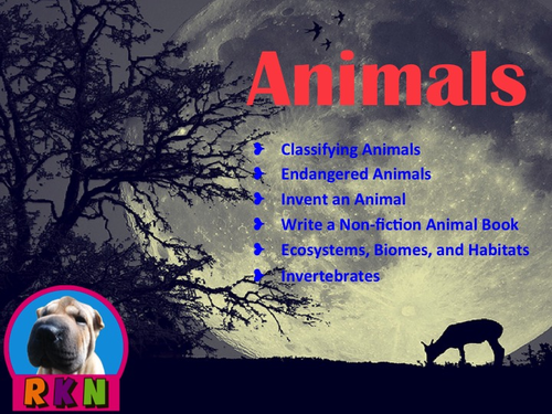 Animal Bundle (Classifying, Endangered, Nonfiction book, Invent Animal, Habitat)