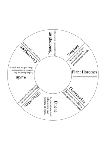 AQA Plant Hormones Key Words Puzzle