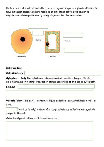 Animal and plant cells resources