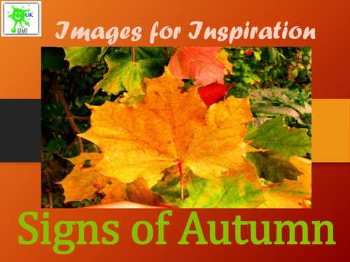 Autumn. Photos for inspiration