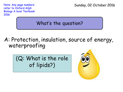Section 1. Biological Molecules. 1.5 Lipids NEW AQA Year 12 A level biology specification
