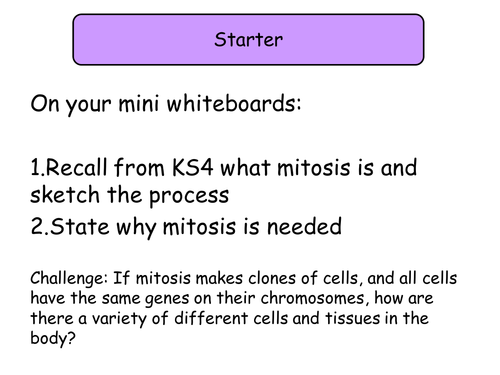 Section 2. Cells. 3.7 Mitosis NEW Year 12 Biology specification