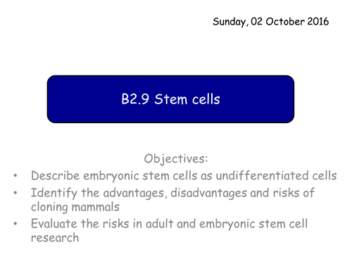 B2.9 Stem cells GCSE Biology