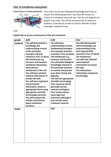 Year 12 membrane assessment