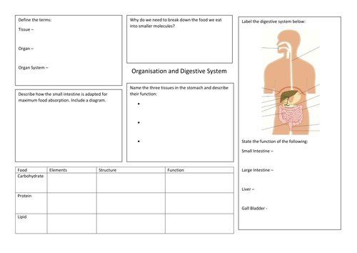 Organisation and Digestive System Revision Maps for New AQA GCSE Spec