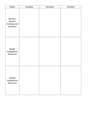 Cell Structure Organelles Table