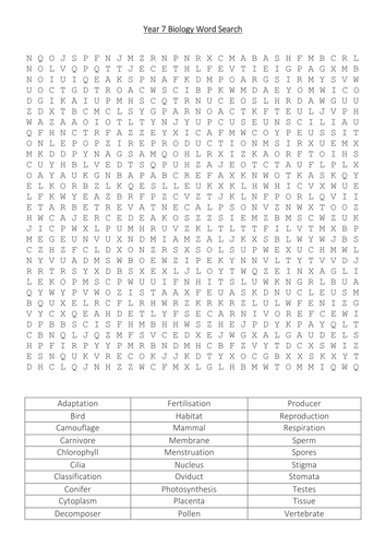 Year 7 Biology Word Search