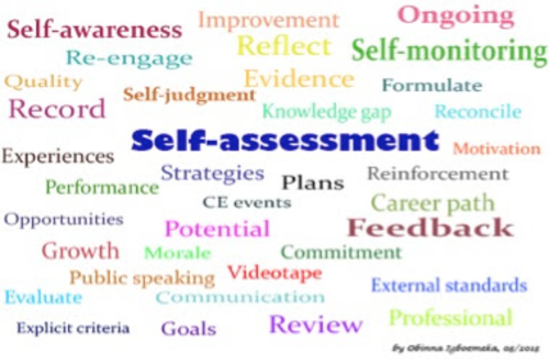 Self/Peer Assessment Checklists